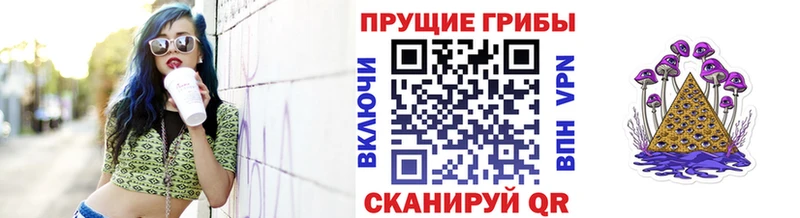 Псилоцибиновые грибы Cubensis Луза